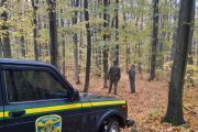 Працівники ДП «Уманський лісгосп» проводять щоденні патрулювання лісових масивів