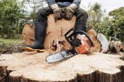 ДП «Уманський лісгосп» інформує про адміністративну та кримінальну відповідальність за здійснення незаконної рубки дерев!